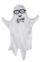 Ghost 23in