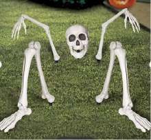 Skeleton Groundbreaker