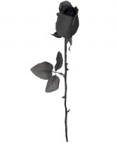 Single Stem Black Rose