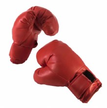 Boxing Gloves Red