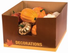 Assorted Mini Pumpkins • ONLY ONE/Specify Choice at Checkout