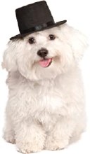 Pet Top Hat Blk M/L