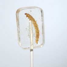 Candy Tequila Worm Sucker