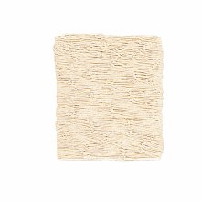 Fish Netting Natural 6'x8'