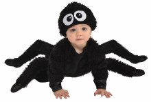 Spider Crawler 6-12M