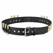 Belt Punk Pyramid/Bullet