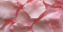 Rose Petals Pink