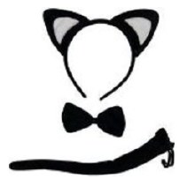 Cat Kit