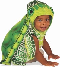 Turtle Toddler