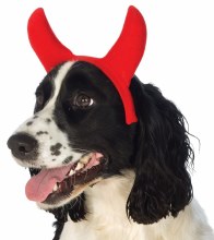 Pet Devil Horns M/L