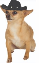 Dog Cowboy Hat M-L