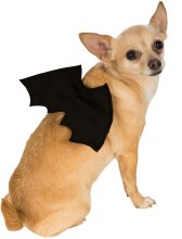 Pet Wings Bat Blk M/L