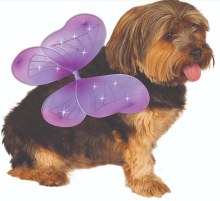 Pet - Fairy Wings M/L