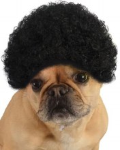 Black Afro Pet Wig M/L