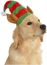 Pet Elf Hat w/Ears M/L