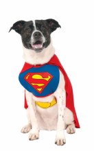 Superman Pet Large