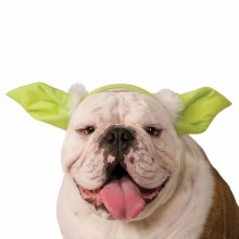 Yoda Dog Ears M/L