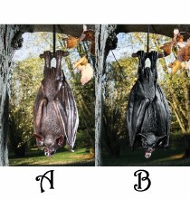 Bat Hanging 15" Asst