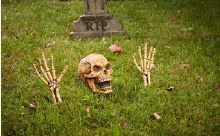 Skeleton Ground BreakerNatural