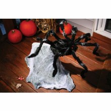 Giant Jumping Spider