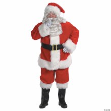 Santa Suit Professional Lg