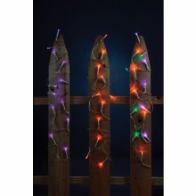 LED String Lights Asst