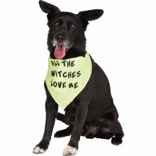 Pet Bandana Witches Love L/XL