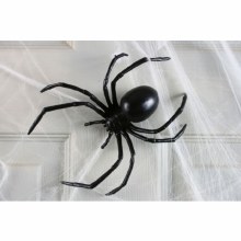 Spider Black Widow 6in