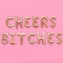 Blln Bnnr Cheers Bitches 16"