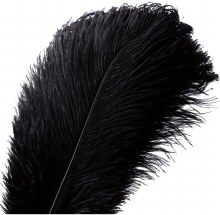 Ostrich Drabs Black