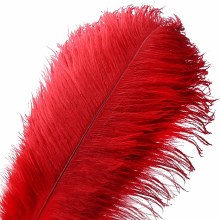 Ostrich Drabs Red