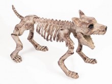 Dog Skeleton Small