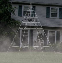 Spider Web 30ft