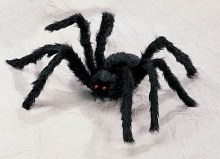 Hairy Black Spider ~ 2ft.