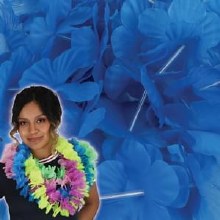 Lei Dark Blue