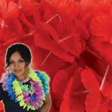 Lei Red