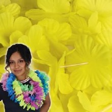 Lei Yellow