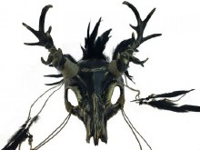 Voodoo Mask Natural Cow Skull