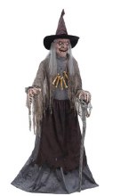 Animated Crone Witch