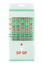 HO HO HO Reusable Straws
