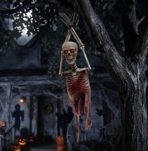 Skeleton Torso Light-Up