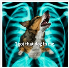 Sticker I Got That Dog In Me