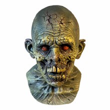 Mask Dry Rot