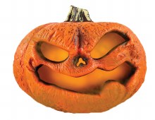 Pumpkin Rotting Mister