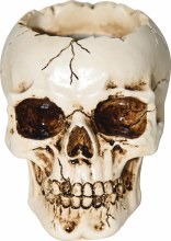 Skull Vase Resin 4in