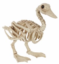 Skeletal Duck