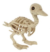 Skeleton Duck