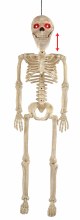 Skeleton Animated 36"