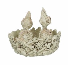 Skeleton Bird Nest