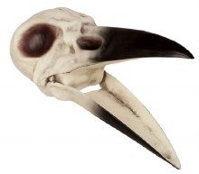 Raven Skull 8.75in